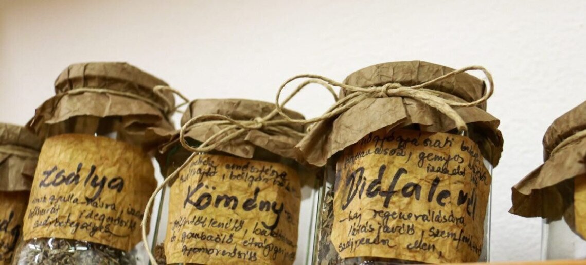 Mindentudó termések – Múzeumok Őszi Fesztiválja