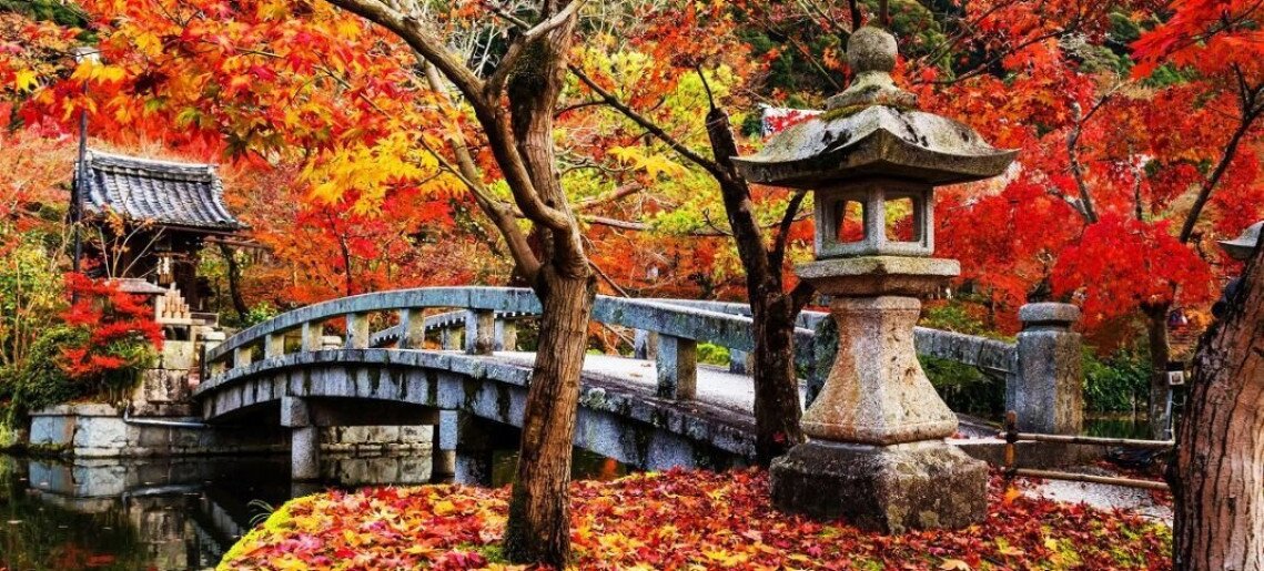 Mogyoróssy János Városi Könyvtár: Japán őszi színei