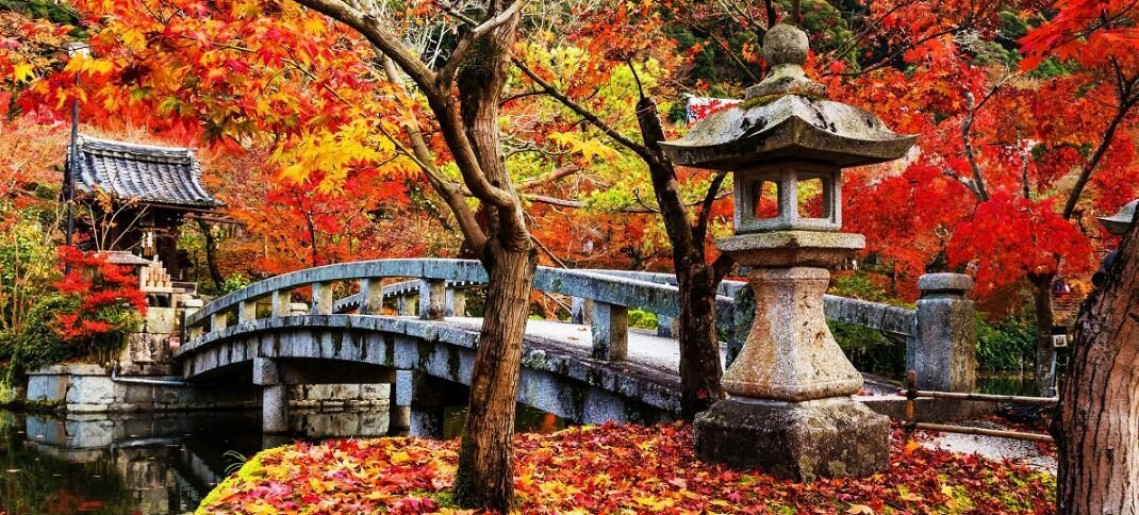 Mogyoróssy János Városi Könyvtár: Japán őszi színei