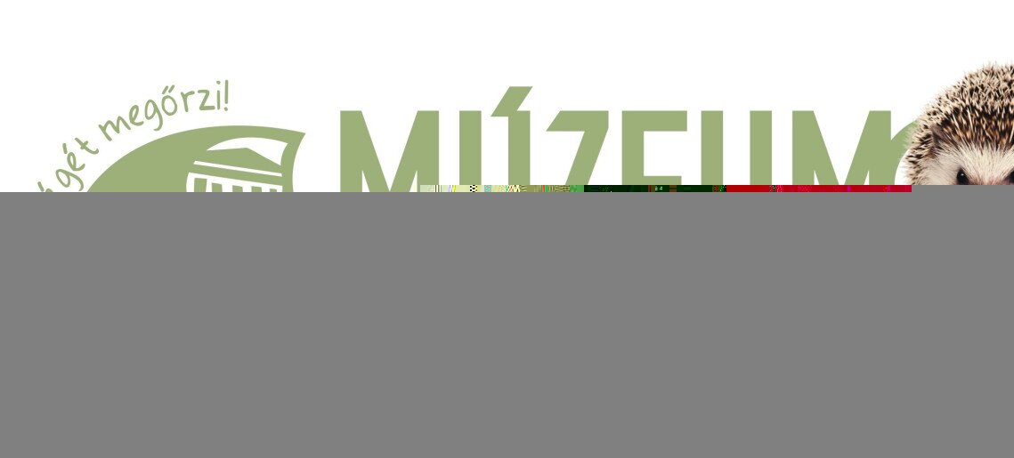 Múzeumok Őszi Fesztiválja 2024