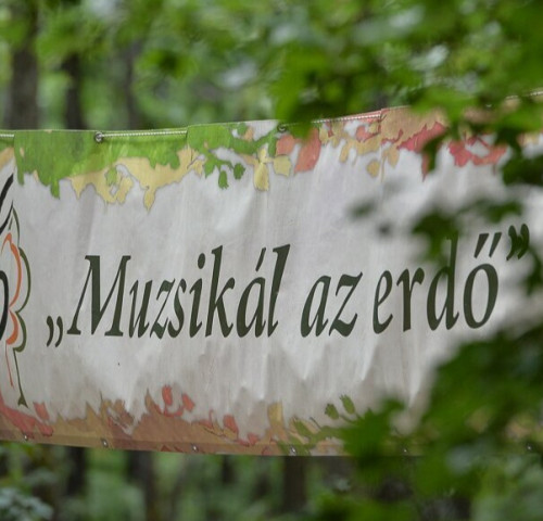 Muzsikál az erdő a Körösök völgyében 2026