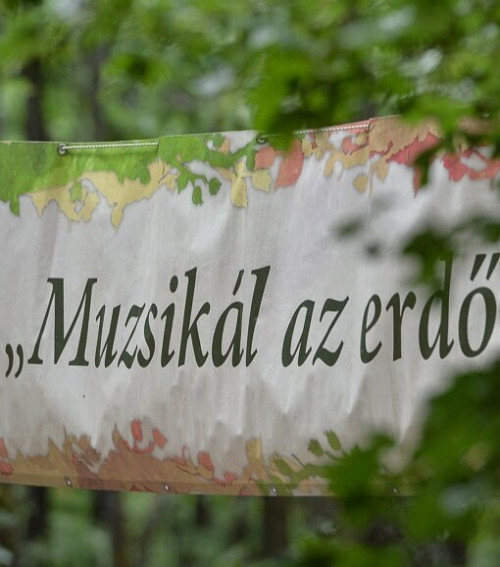 Muzsikál az erdő a Körösök völgyében 2026