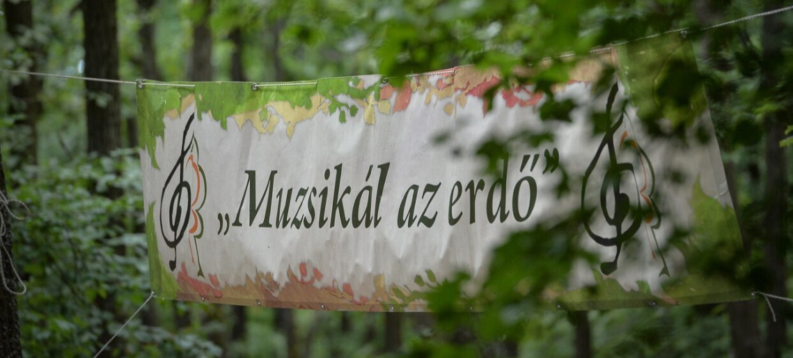 Muzsikál az erdő a Körösök völgyében 2025
