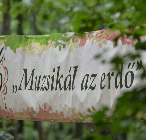Muzsikál az erdő a Körösök völgyében 2026