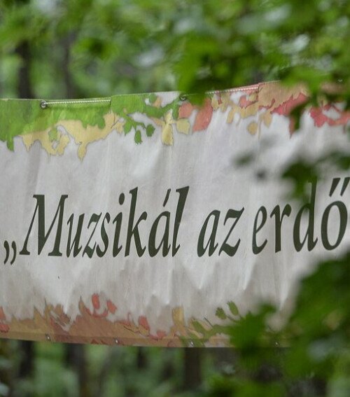Muzsikál az erdő a Körösök völgyében 2026