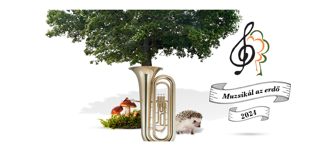 Muzsikál az erdő a Körösök-völgyében 2024