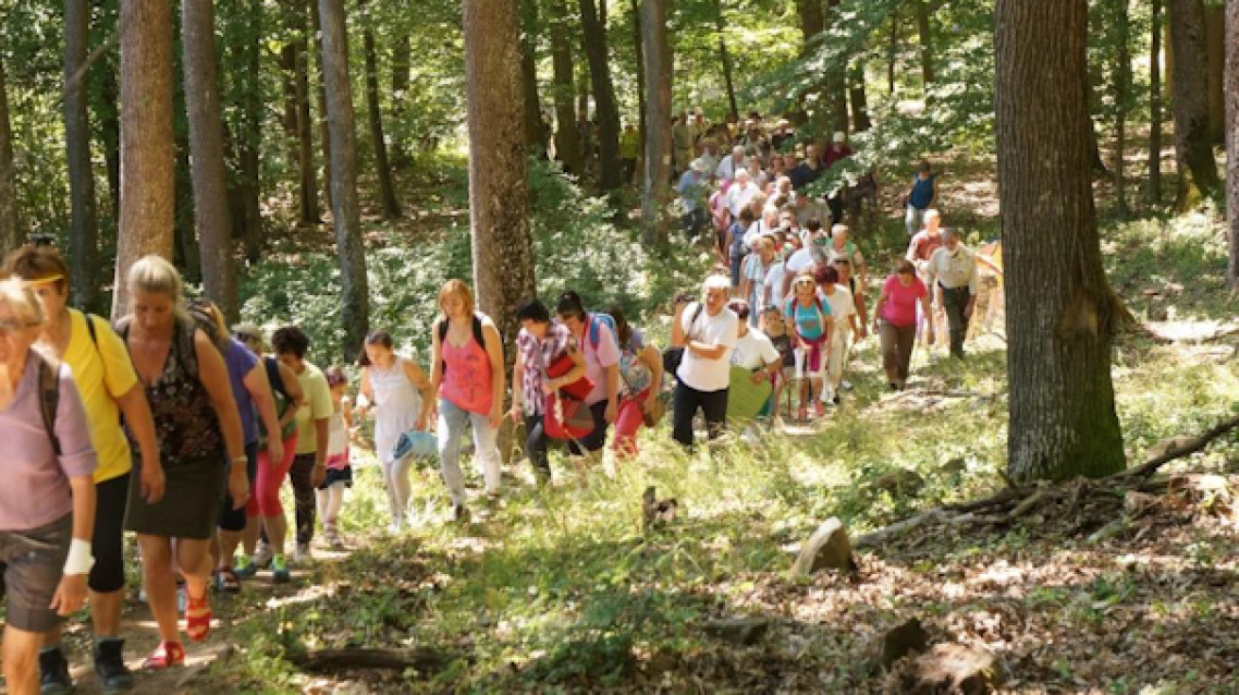 muzsikal-az-erdo-gyulai-programajanlo-hirek-02.jpg