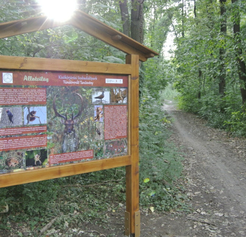 Parcul de agrement Kisökörjárás, traseul educativ Pădurea Zânelor