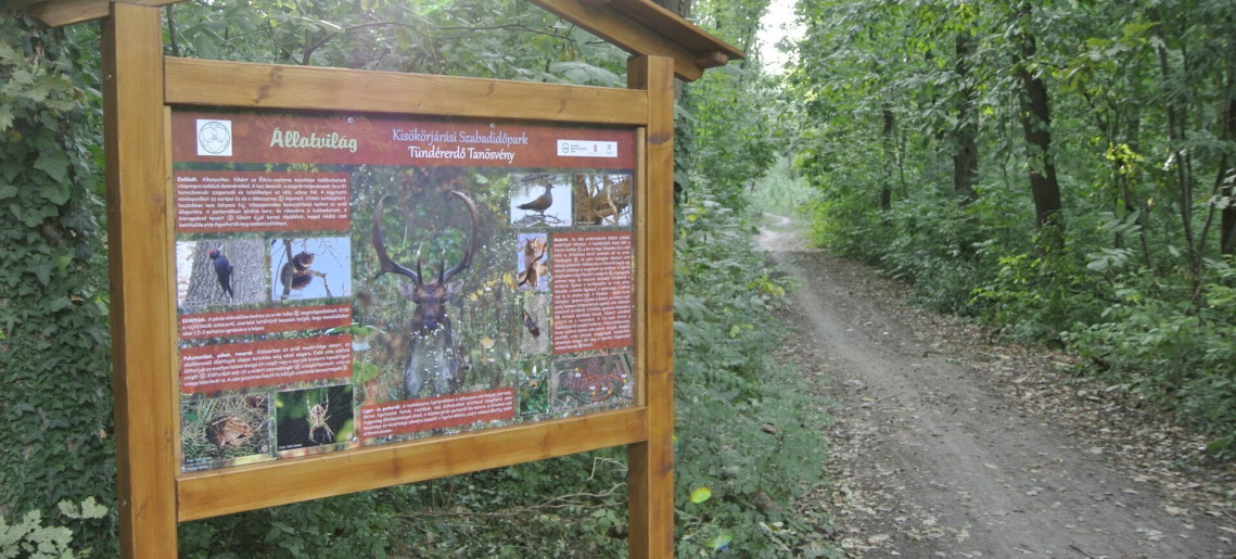 Parcul de agrement Kisökörjárás, traseul educativ Pădurea Zânelor