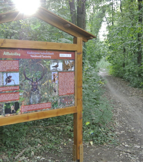 Parcul de agrement Kisökörjárás, traseul educativ Pădurea Zânelor