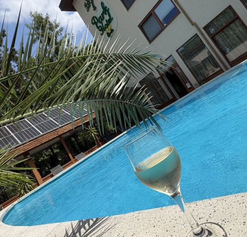 Park Hotel Gyula