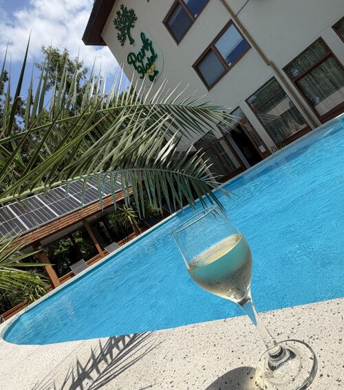 Park Hotel Gyula