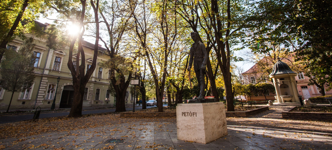 Petőfi búcsúzik: tematikus városi séta