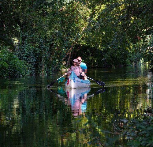 Programajánló napról napra
