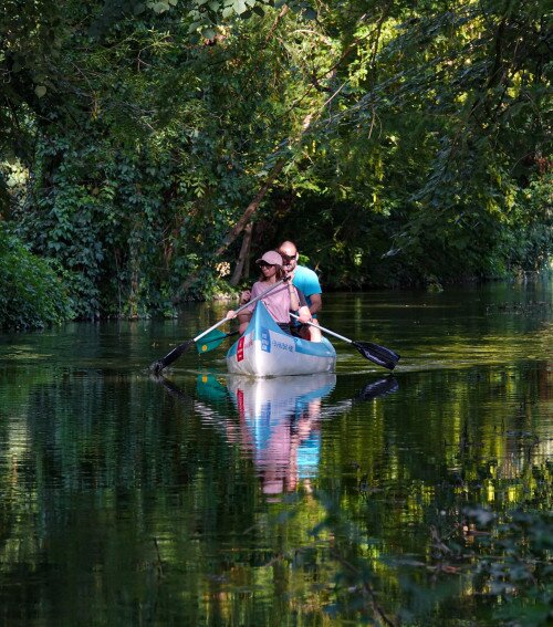 Programajánló napról napra