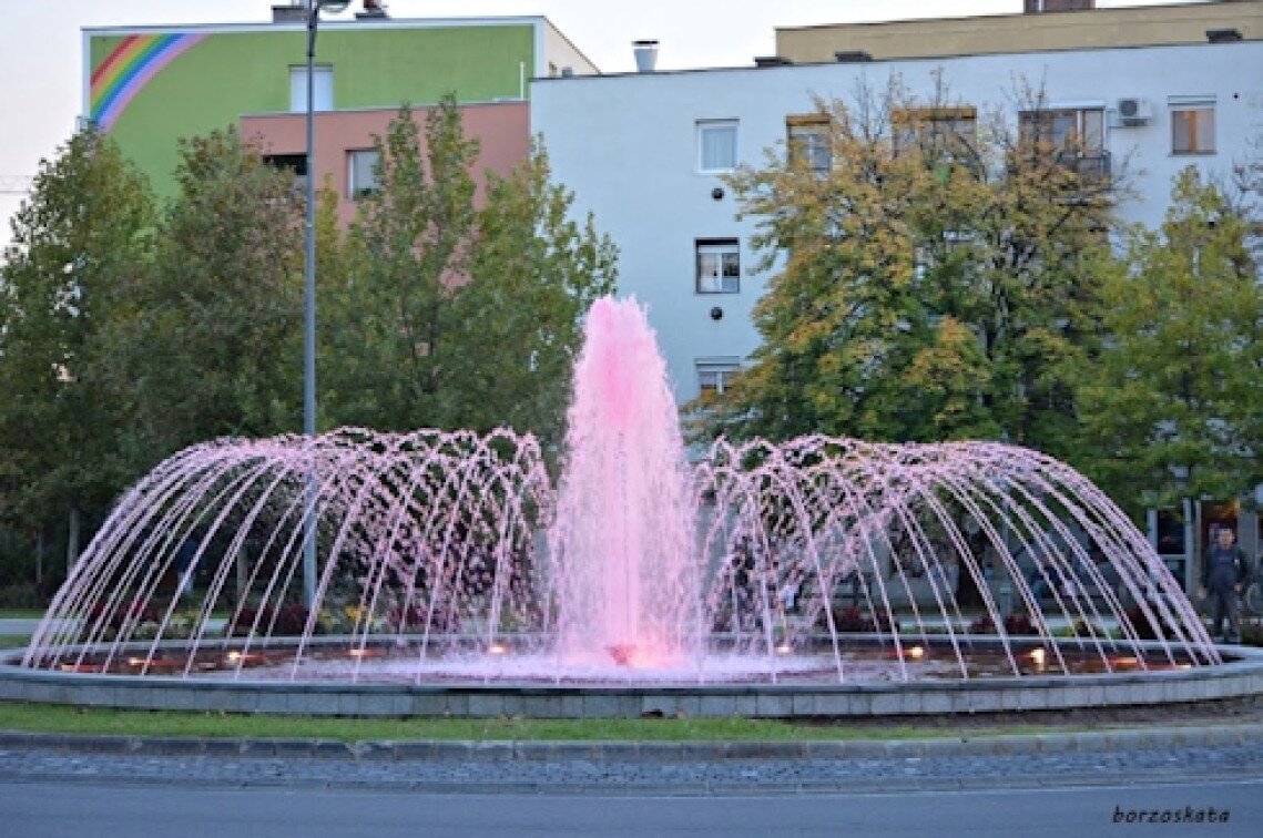rozsaszin-szokokut-gyula.jpg