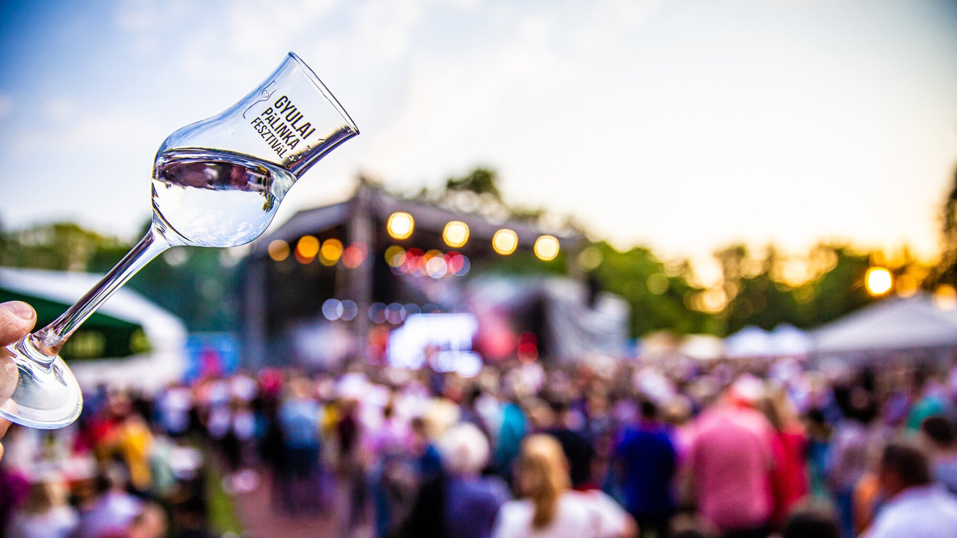 Experience