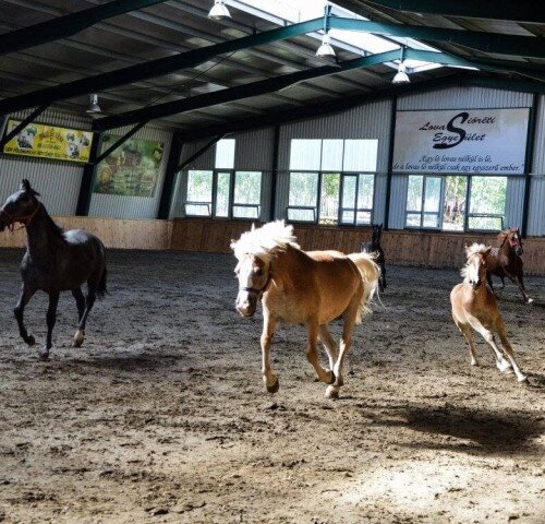 Sióréti Equestrian Centre (Sióréti Lovasközpont)