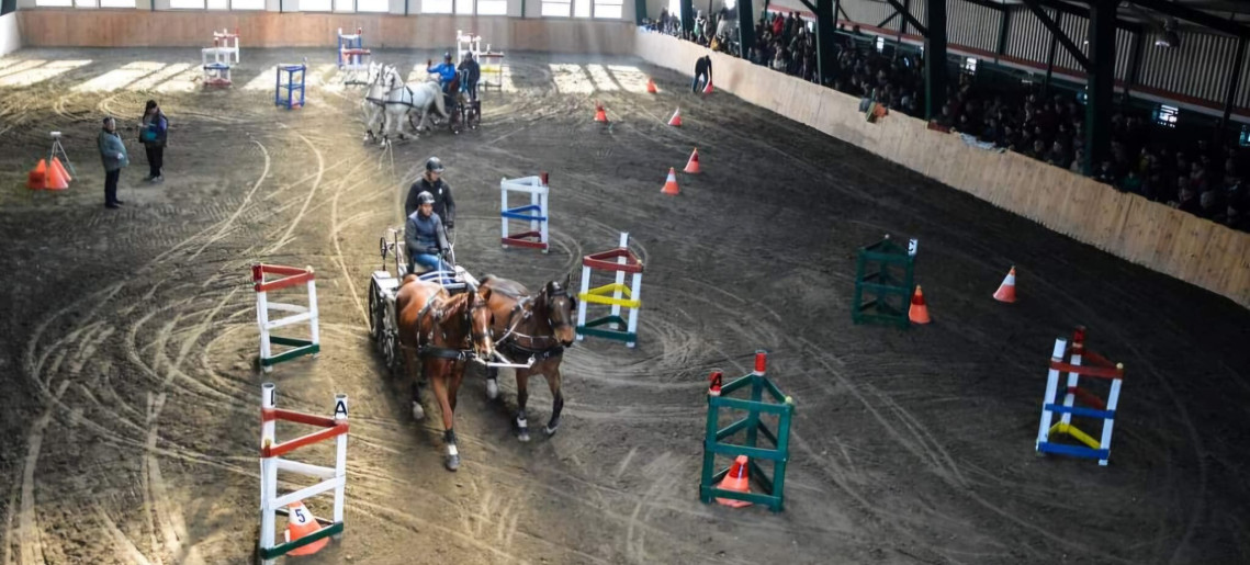 Sióréti Lovasközpont: ​​Sióréti Fedeles Fogathajtó Verseny