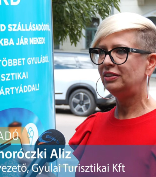 Sok szempontból óriási előrelépést hozhat Gyulán a jelenleg előkészítési fázisban lévő Gyulai Korzó Projekt