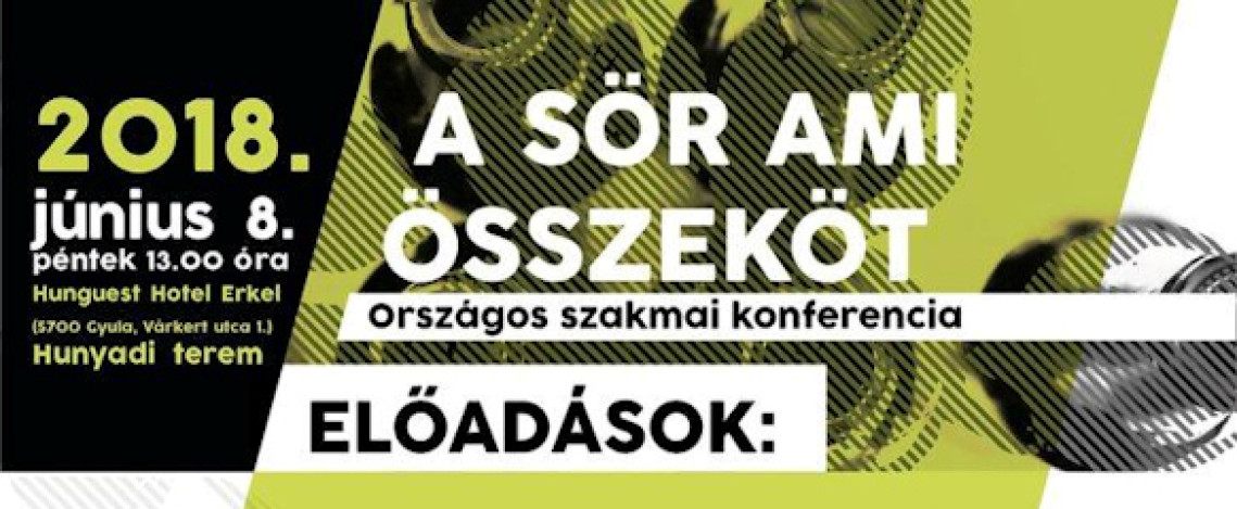 sor-ami-osszekot-szakmai-konferancia-01.jpg