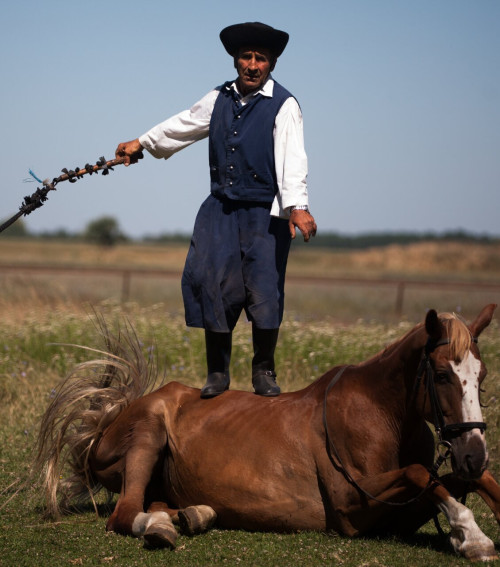 Steigervald Farmhouse