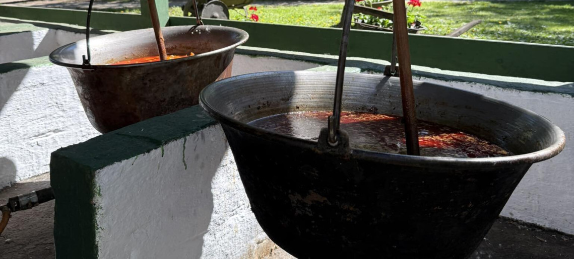 Steigervald tanya: Családi Majális