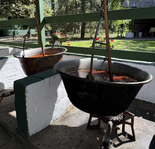 Steigervald Tanya: Családi Majális