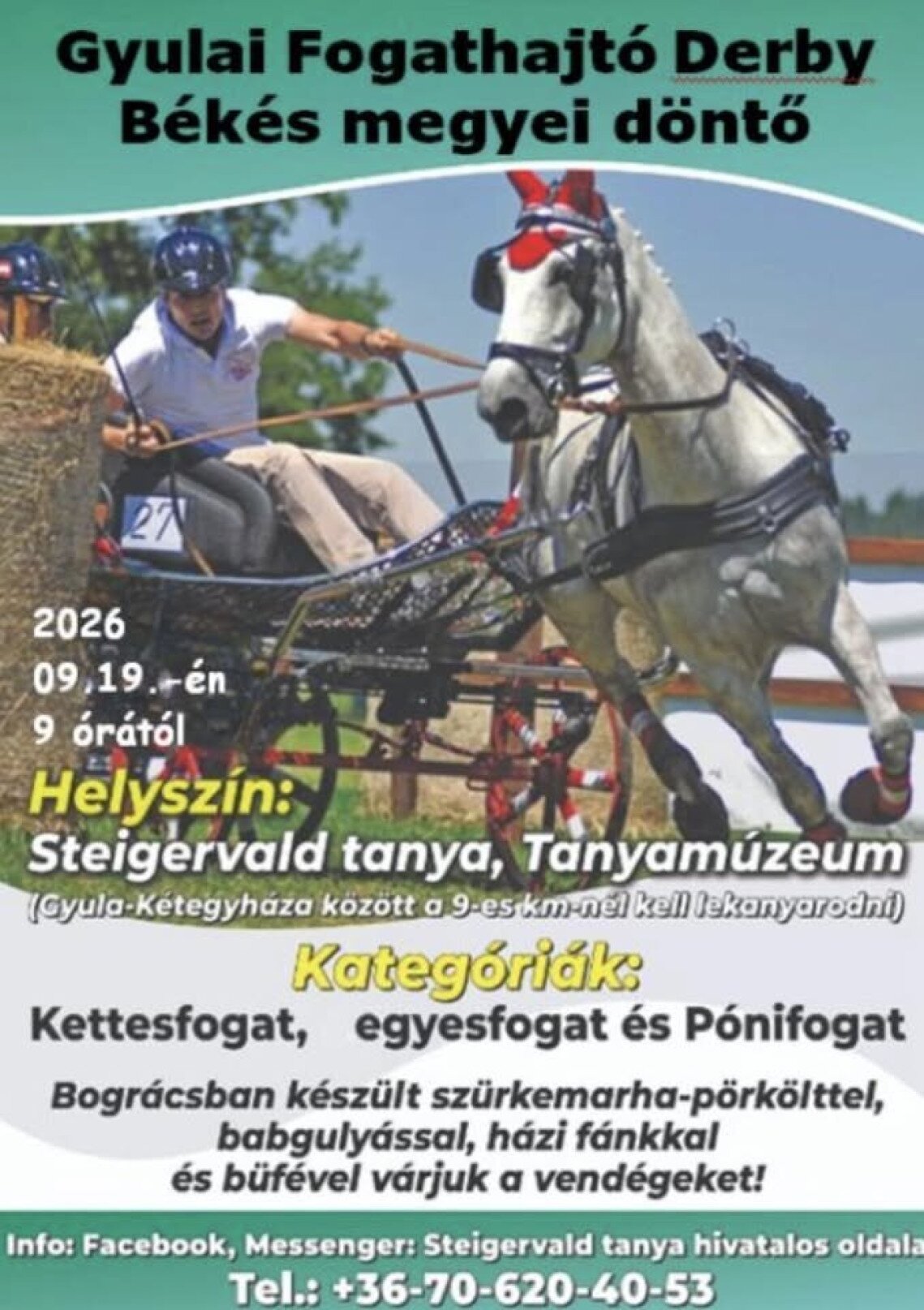 steigervald_fogathajto_2026