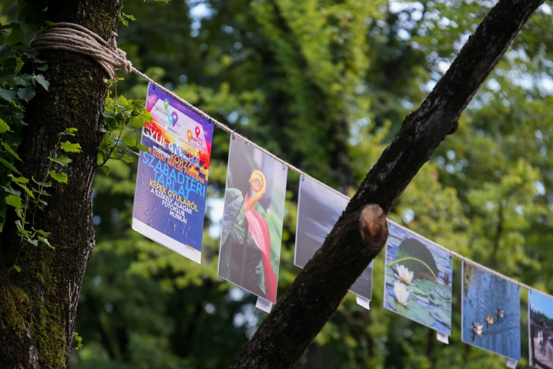 Székely Aladár Fotóklub szabadtéri kiállítása