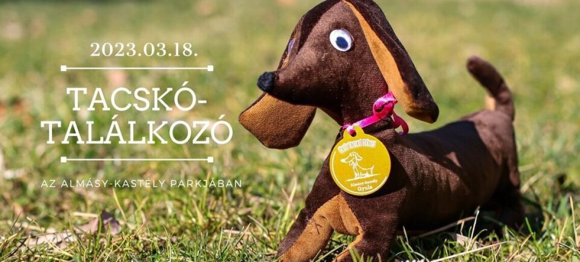 Tacskó Találkozó az Almásy-kastély parkjában