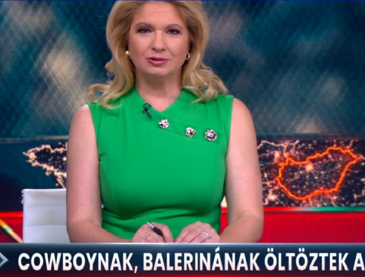 Tacskótalálkozó Gyulán