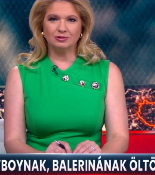 Tacskótalálkozó Gyulán