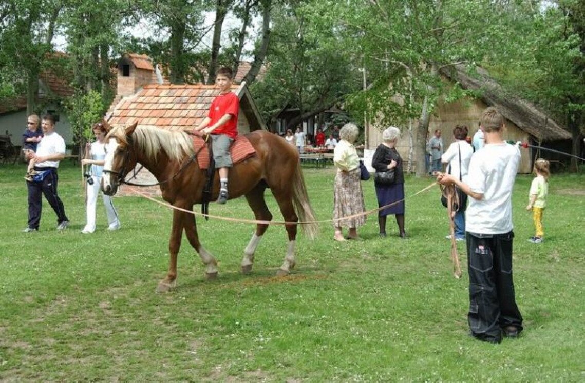 tanyamuzeum2_500.jpg