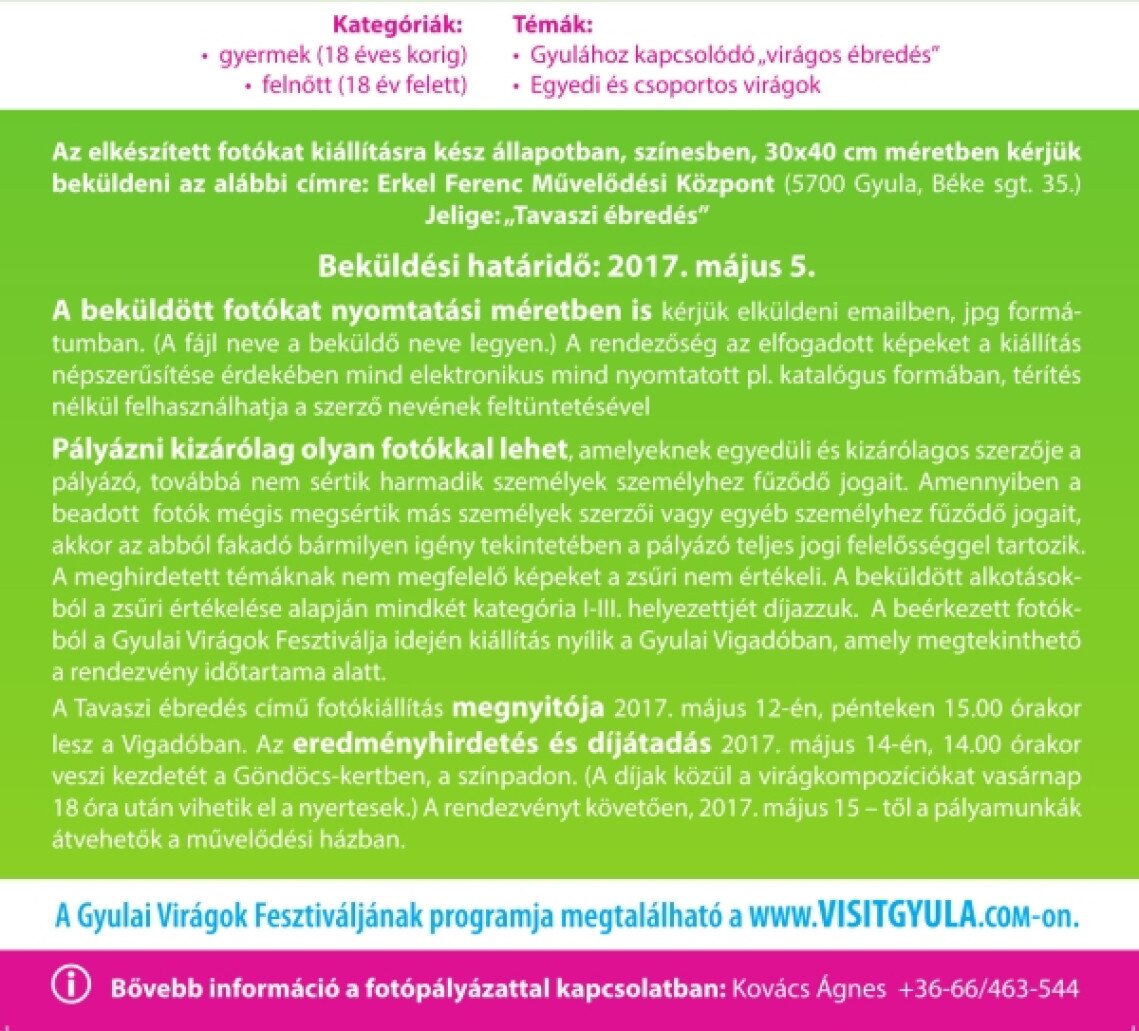 tavaszi-ebredes-fotopalyazat-gyulai-viragok-fesztivalja-02.jpg