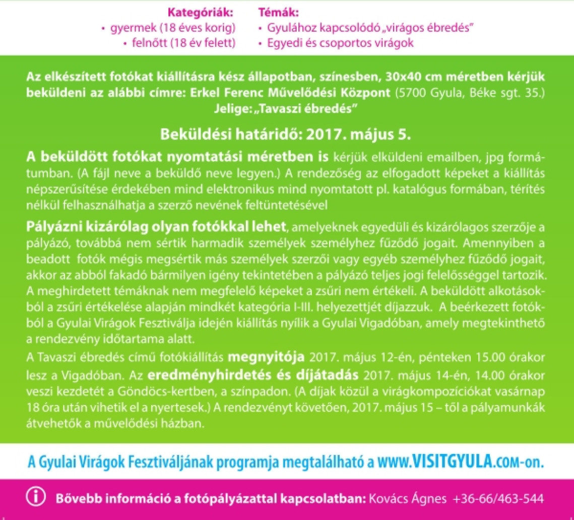 tavaszi-ebredes-fotopalyazat-gyulai-viragok-fesztivalja-02.jpg