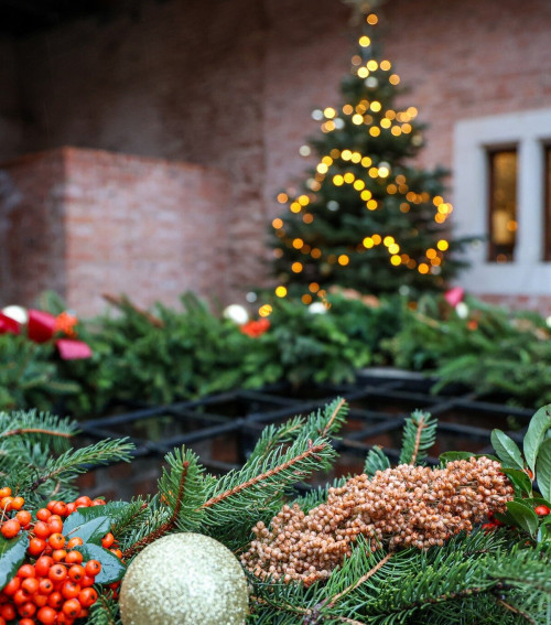 Téli varázs Gyulán és Békéscsabán