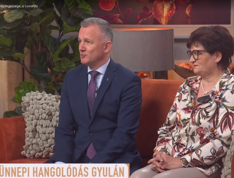 Teljesen megújult a Gyulai Várfürdő különlegessége, a Lovarda