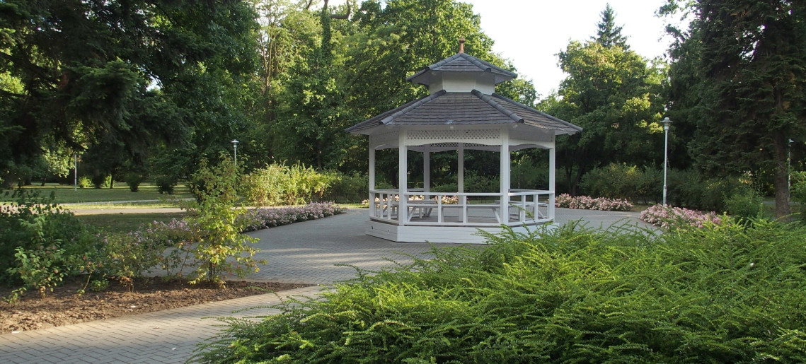The Snail Garden (Csigakert)