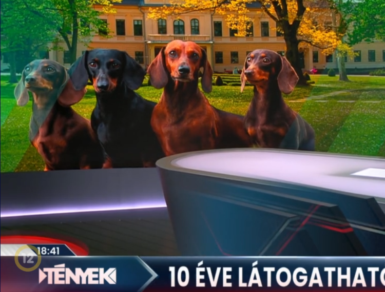 Tíz éve látogatható az Almásy-kastély