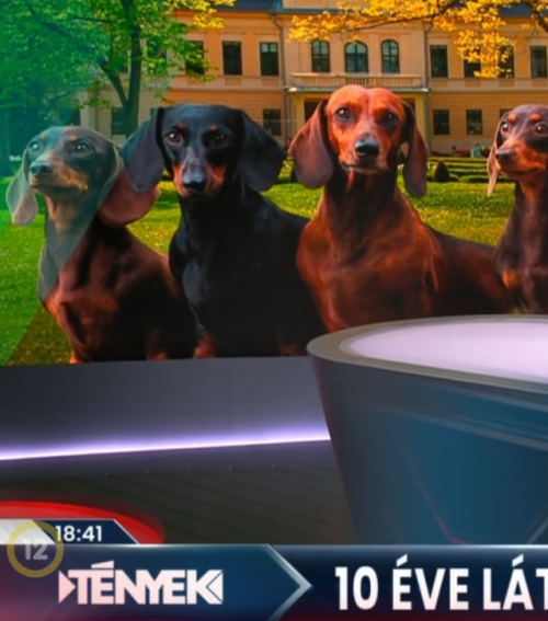 Tíz éve látogatható az Almásy-kastély