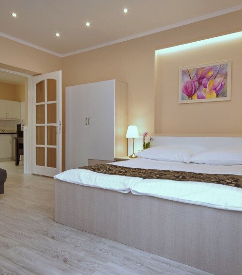 Trend Deluxe Apartman Gyula