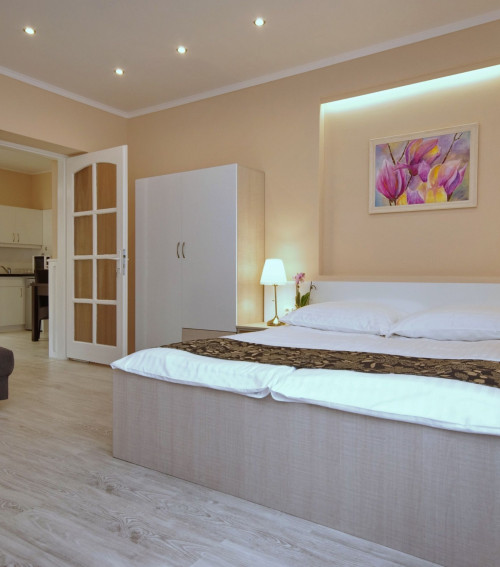 Trend Deluxe Apartman Gyula