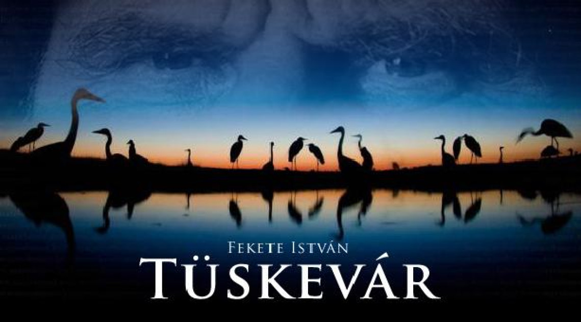 tuskevar.JPG