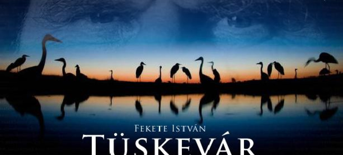 Tüskevár - filmvetítés