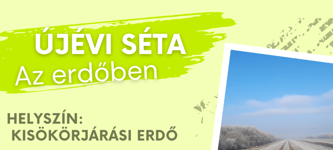 Újévi séta a Kisökörjárási erdőben