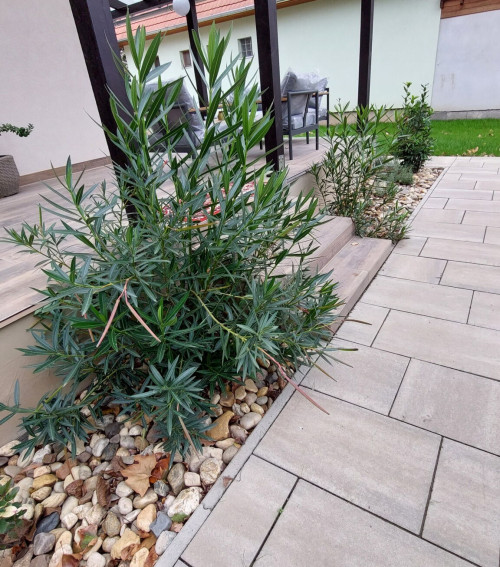 Vadaskert Apartman Gyula