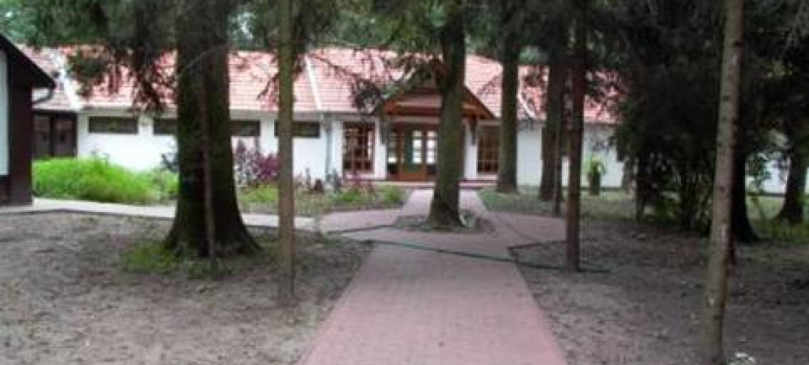 Múzeumok Éjszakája Városerdőn