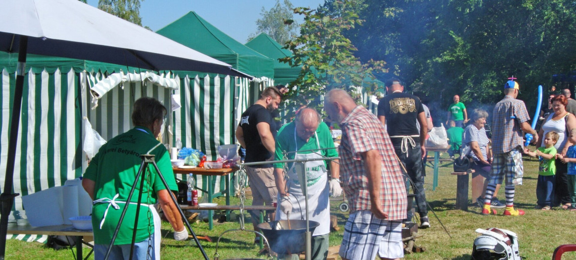 VII. Családi Piknik