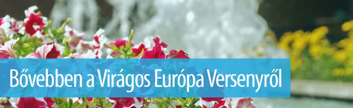 viragos-europa-verseny-bovebb-informacio-gyula-01.jpg